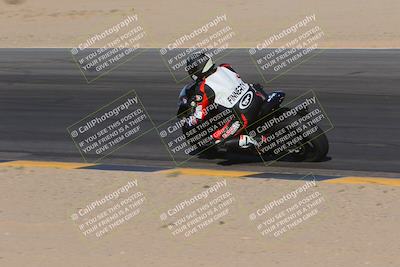 media/Nov-11-2023-SoCal Trackdays (Sat) [[efd63766ff]]/Turn 10 Inside (120pm)/